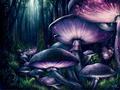 Cool - 3D Effects Wallpapers - 2.9 Wallpaper 1280x960